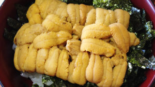 余市の柿崎商店 海鮮工房で旬のウニ丼をいただいてきましたー！