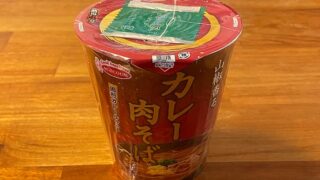 THE和 山椒香るカレー肉そば