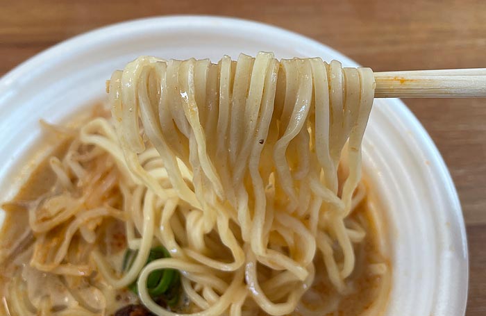 飯田商店監修スパイス香る担々麺