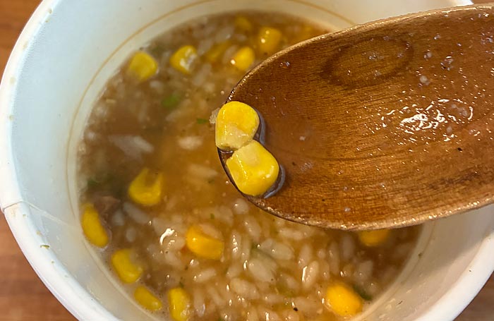 ほりにし監修 オリジナルスパイス付き ガーリック飯