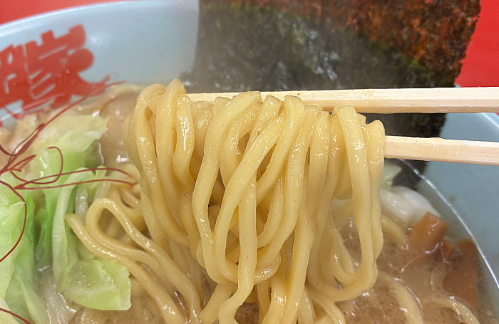 山岡家 濃厚白みそとんこつラーメン