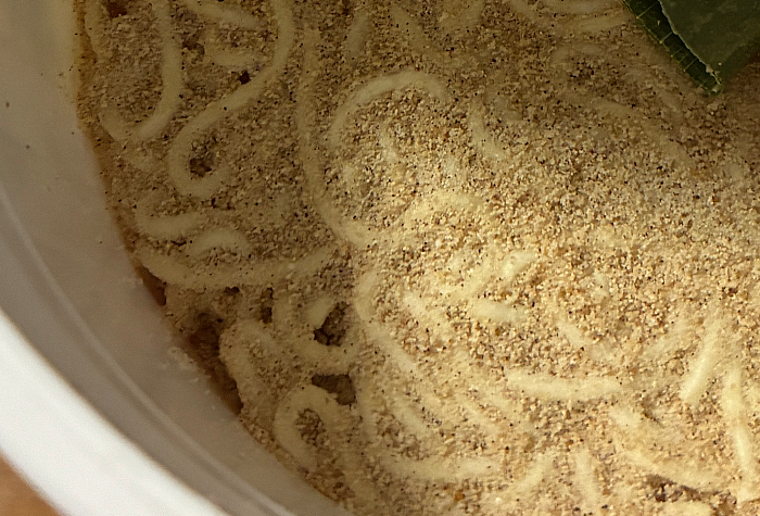 鴨to葱監修 鴨だし醤油らーめん