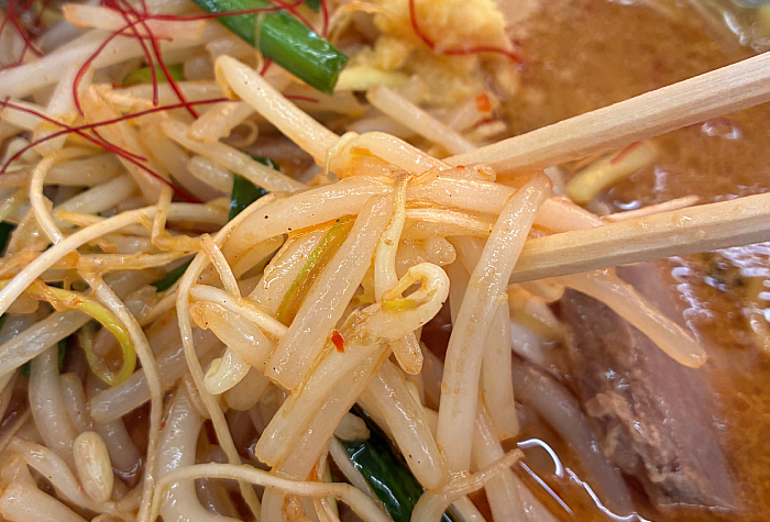 山岡家 G系特製もやし味噌ラーメン