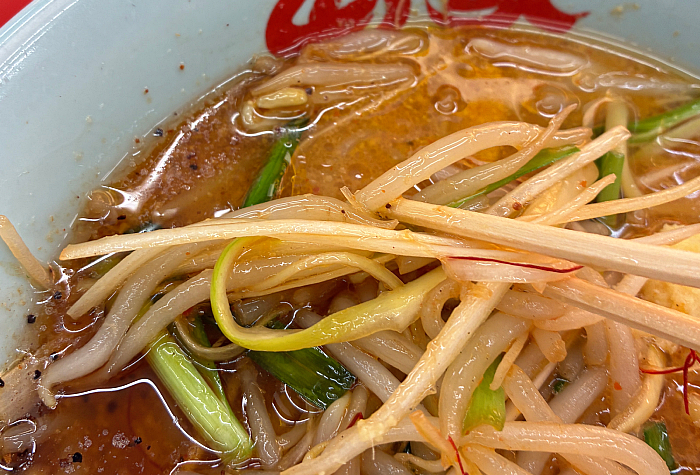 山岡家 G系特製もやし味噌ラーメン