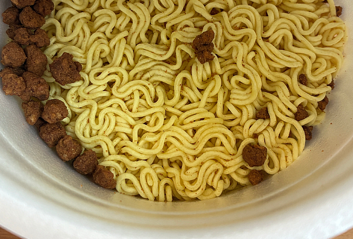 ごつ盛り 富山ブラックラーメン