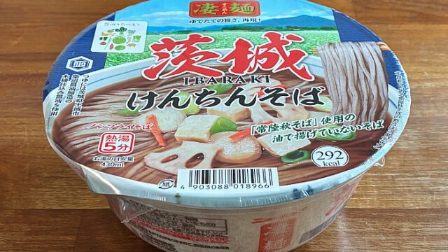 凄麺 茨城けんちんそば